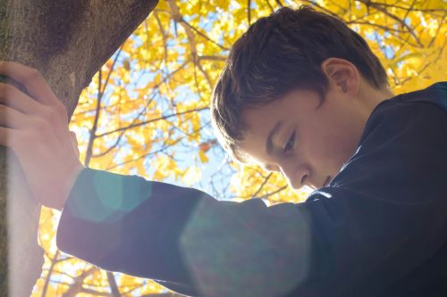 A young boy leans against a tree, surrounded by bright autumn leaves and golden sunlight.