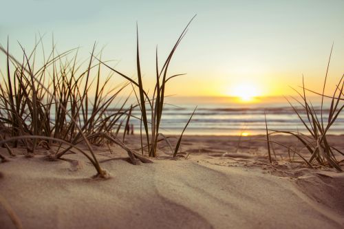 Peaceful beach scene at sunset with sun, sea, and sandy dunes in view. Ideal for nature themes.
