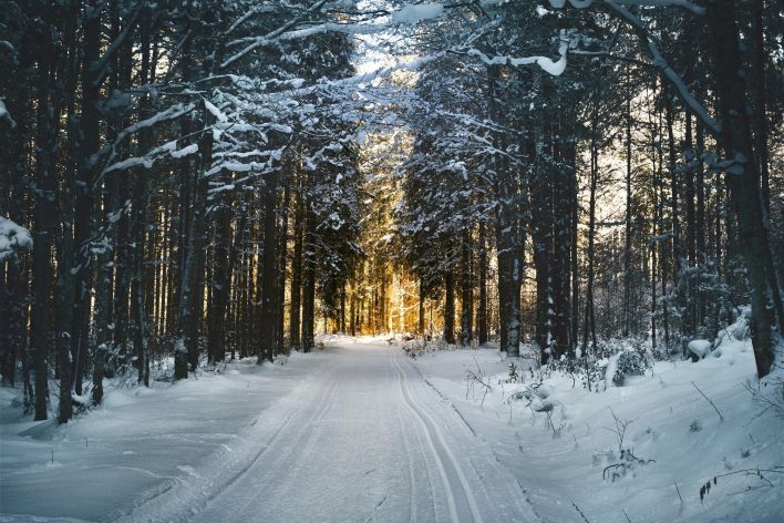 Stunning snowy path through a winter forest in Ebensee, Austria, with sunlight filtering through trees.